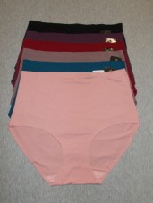 GIRDLE PANTIES